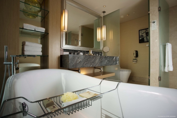 Hotel Marina Bay Sands (Singapore)